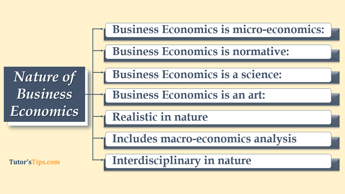Nature of Business Economics - Explain with Examples