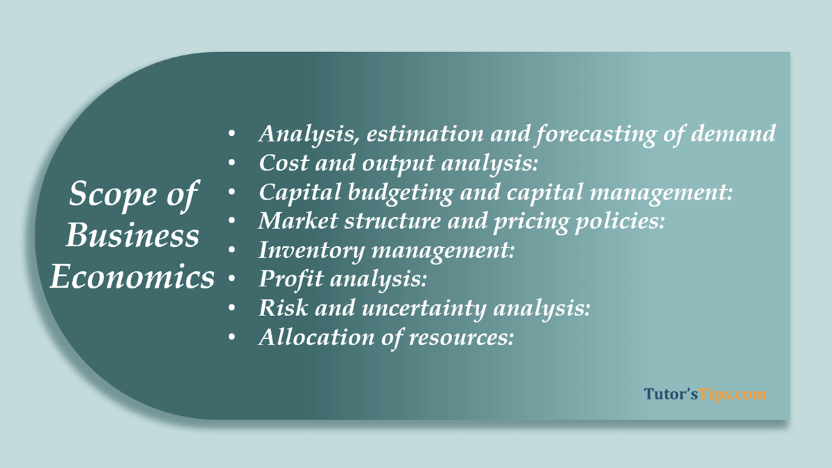 Scope of Business Economics - Explain with Examples