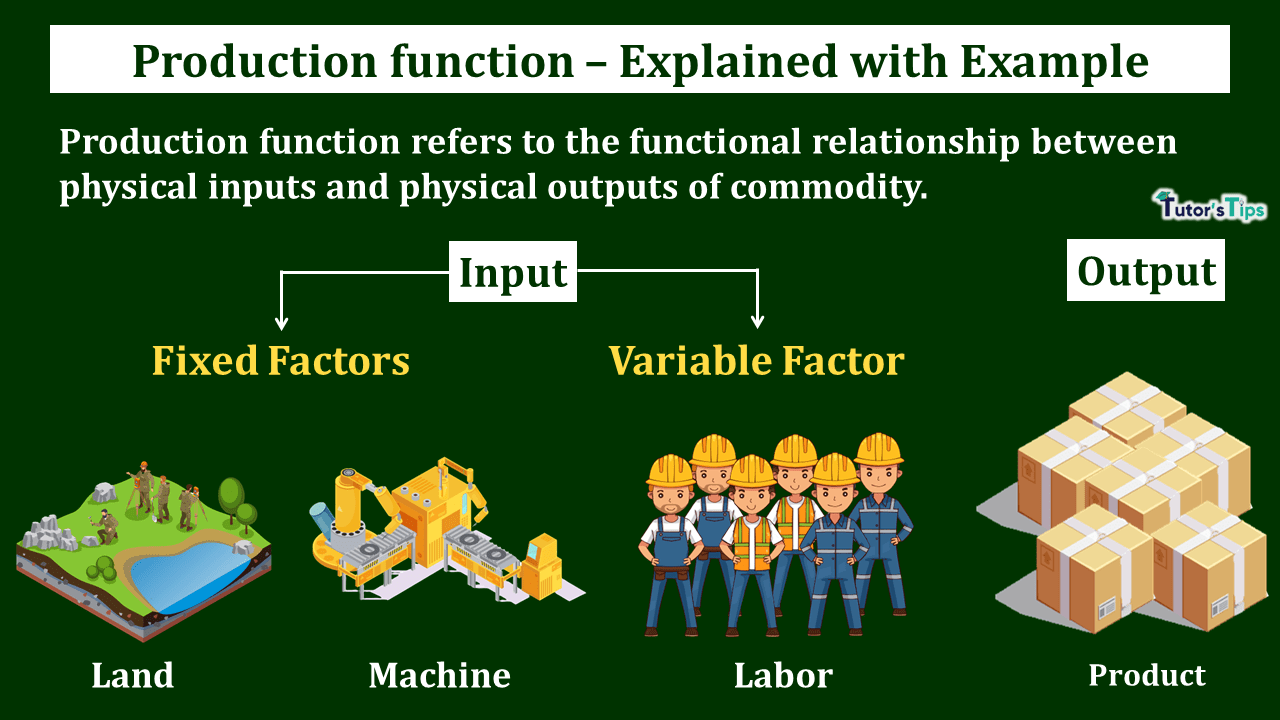 Production Function - Meaning and Types