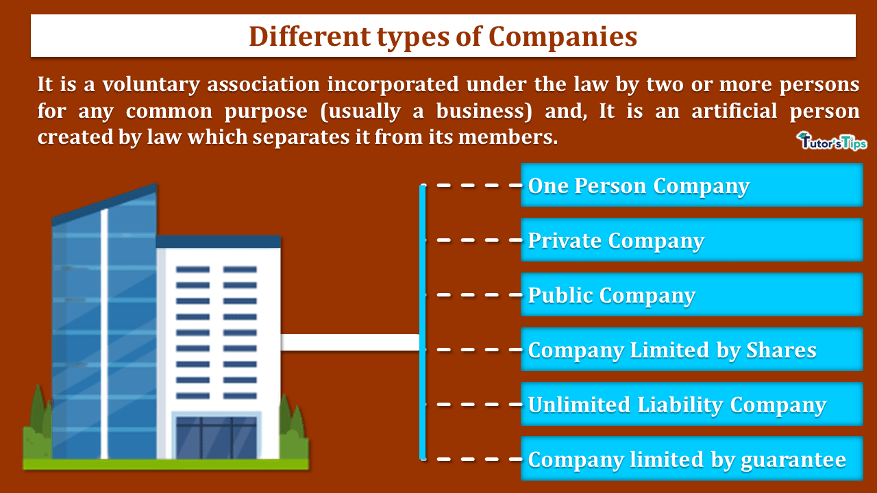6 Different types of Companies- Explained with Examples