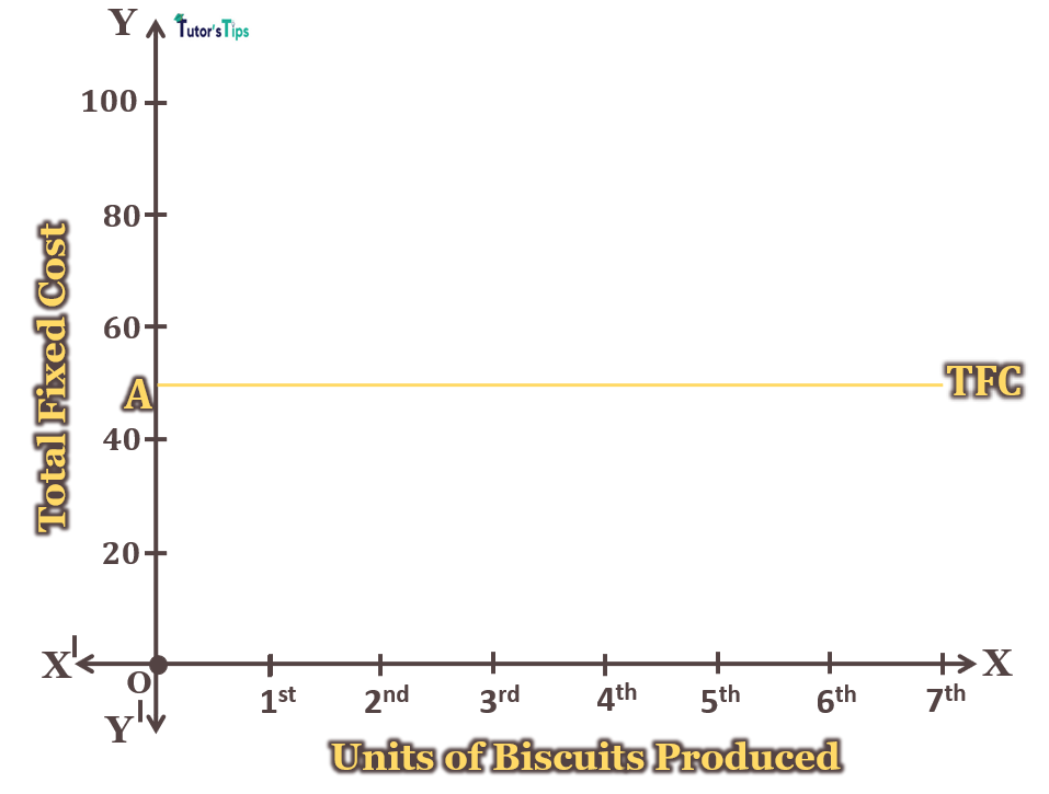 Fixed Cost