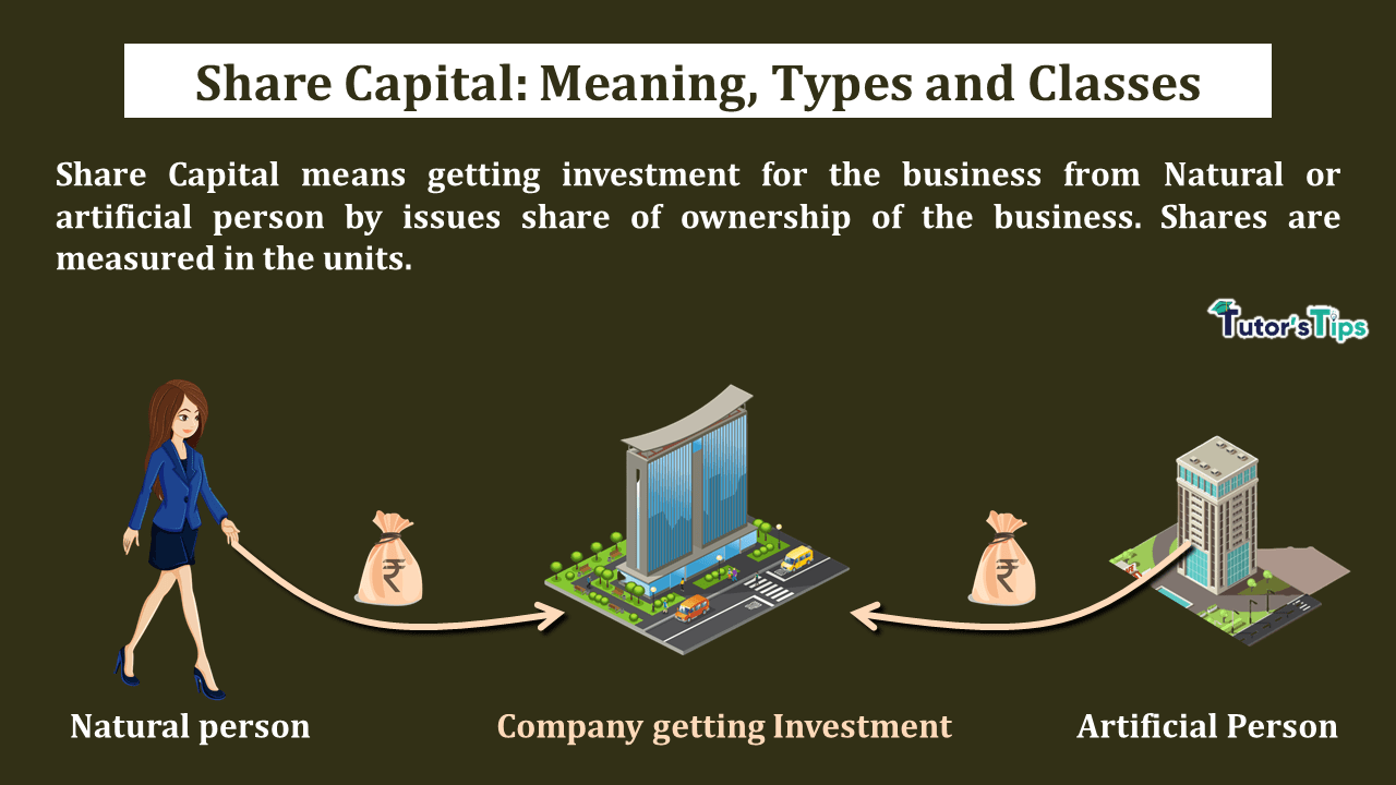 Share Capital: Meaning, Types, and Classes