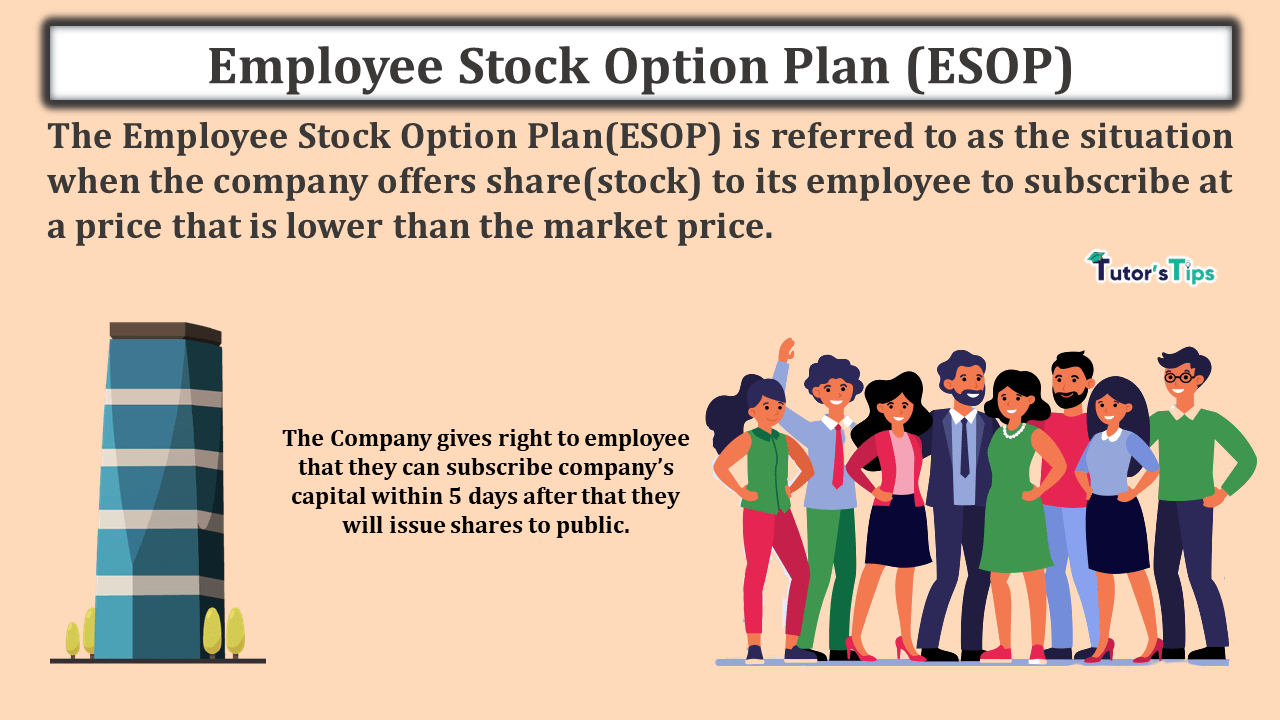 Employee Stock Option Plan (ESOP) and its Requirements