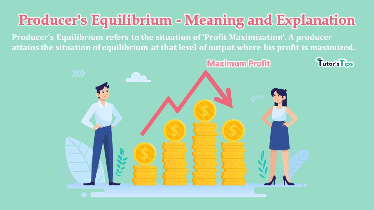 Producer's Equilibrium - Meaning and Explanation