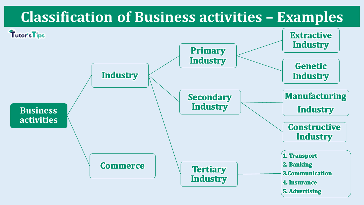 Classification of Business activities - Examples