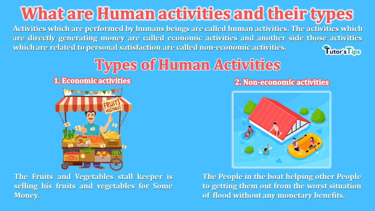 What are human activities and their types