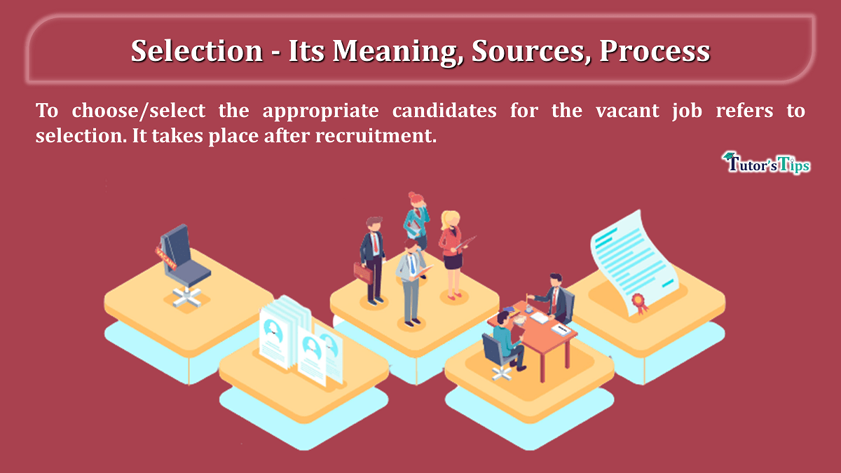 Selection-Its meaning, definition, and process