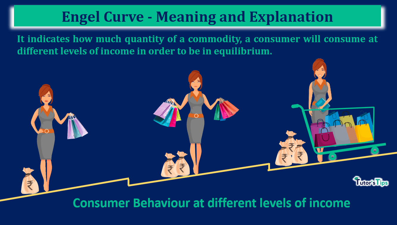 Engel Curve - Meaning and Explanation - In Hindi