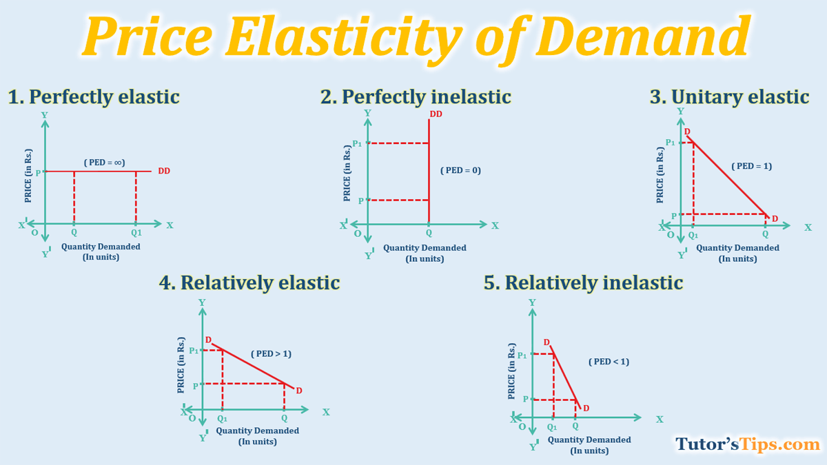 Price Elasticity of Demand-Types and its Determinants