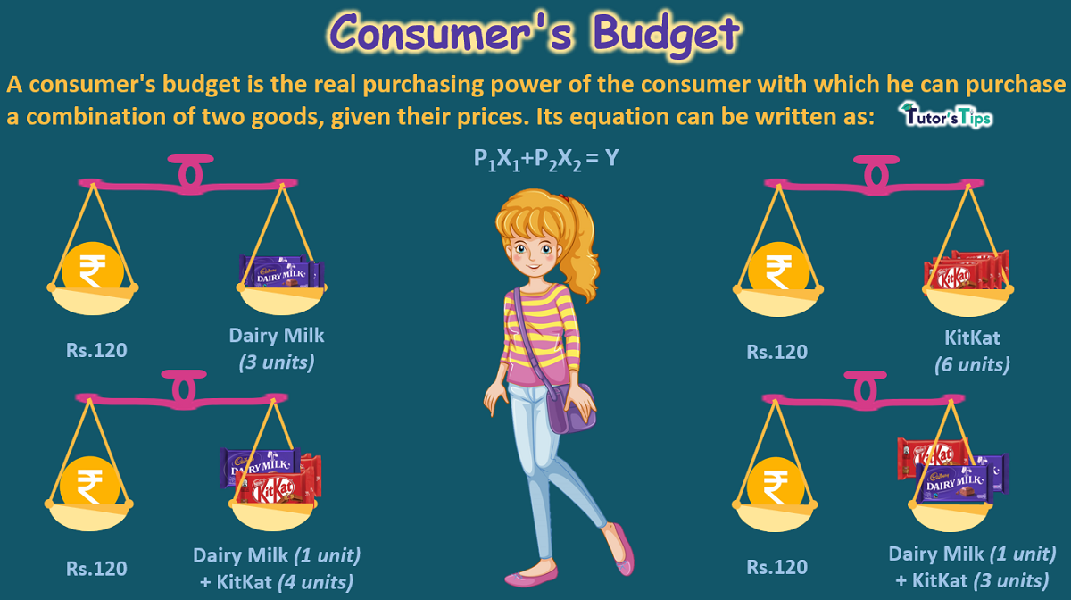 Consumer's Budget- Budget set and Budget Line - In Hindi