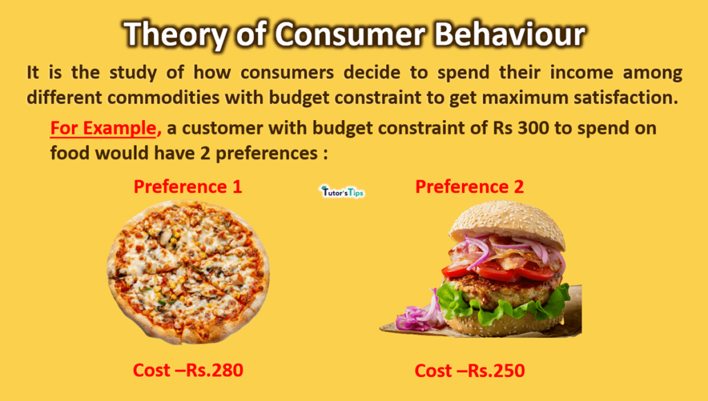 Theory of Consumer Behaviour with Simple and Easy Explanation - In Hindi