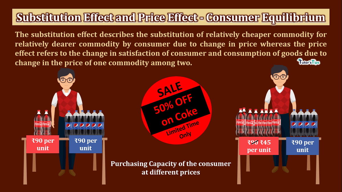 Substitution Effect and Price Effect - Consumer Equilibrium - In Hindi