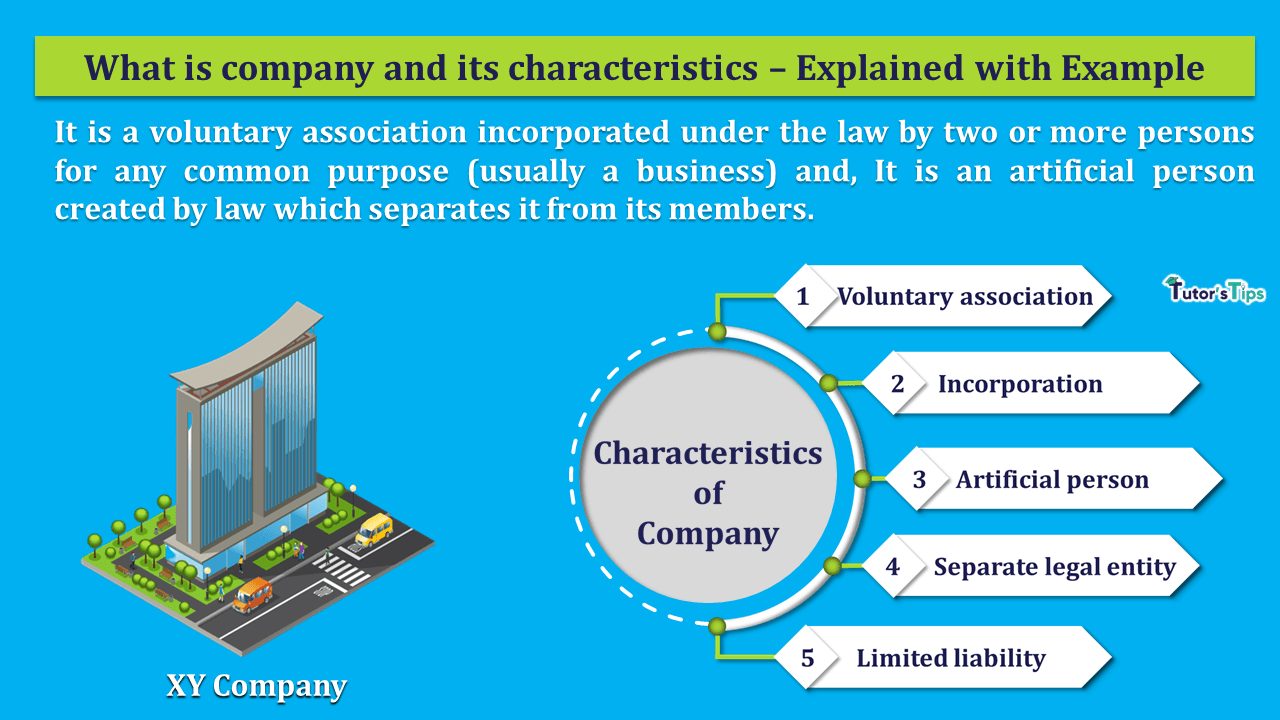 What is the Company and its Characteristics - In Hi