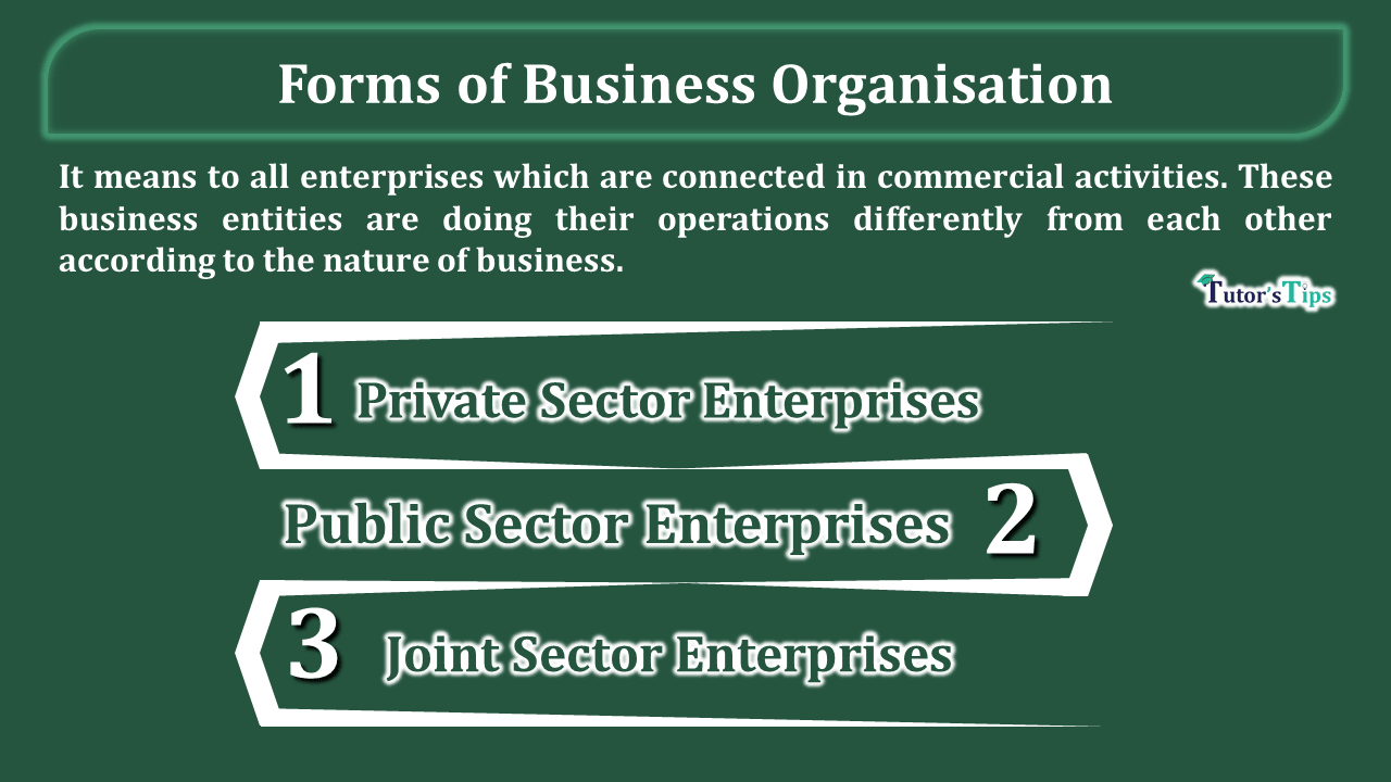 The Forms of business organisations -In Hindi