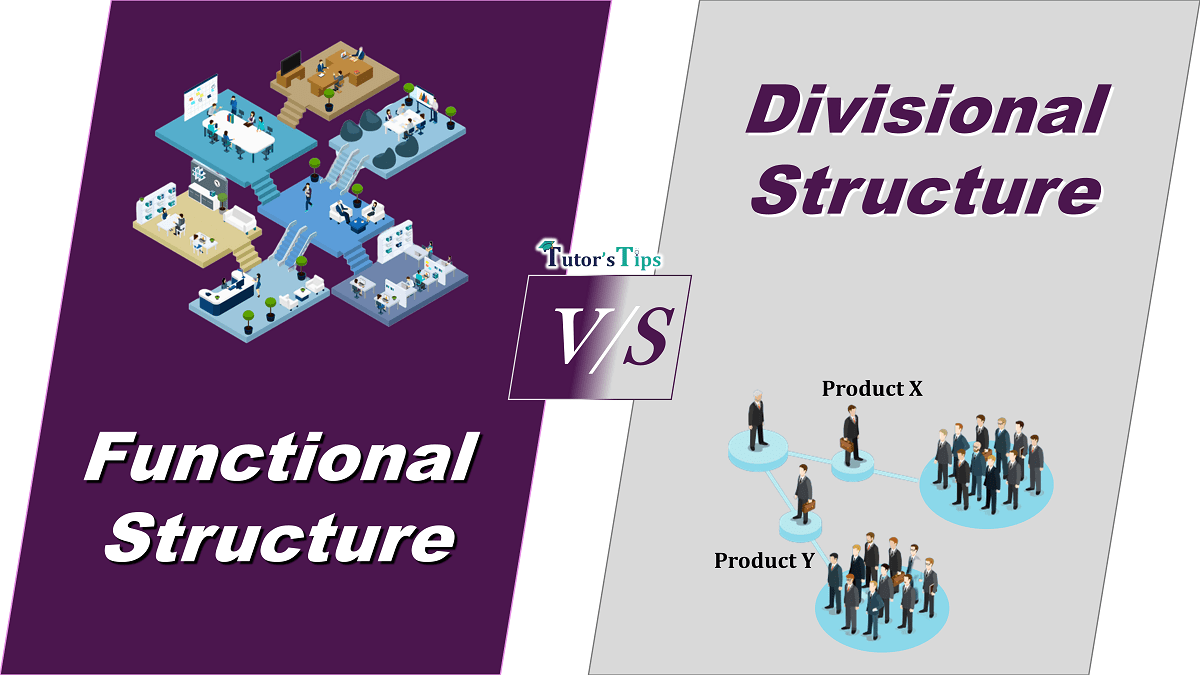 7 Important Differences between Functional and Divisional Structure - In Hindi