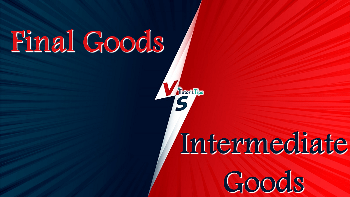 13 Easy Differences between Final and Intermediate Goods - In Hindi