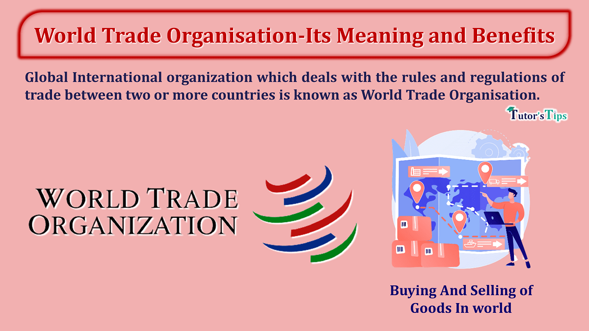 World Trade Organisation - Its Meaning and 9 Important Benefits - In Hindi