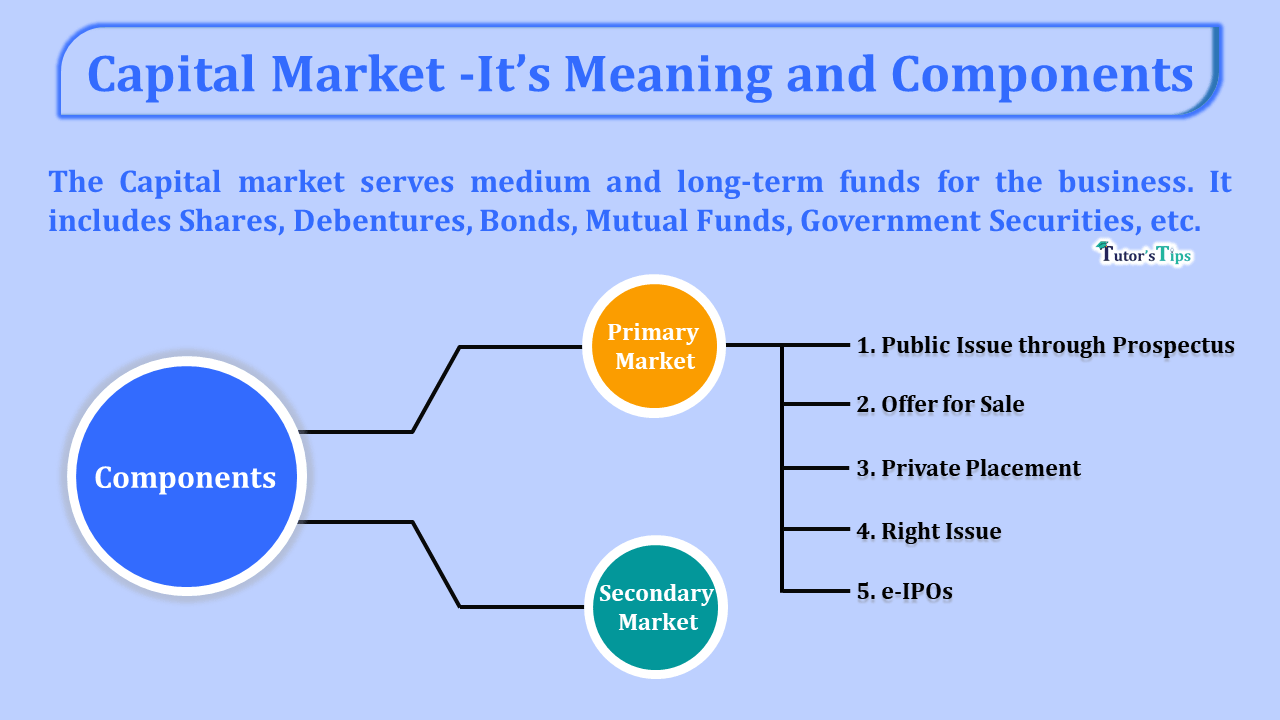 Capital Market -Its Meaning and 2 Components - In Hindi