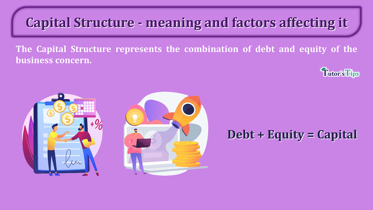 Capital Structure - it's meaning and 5 factors affecting it - In Hindi